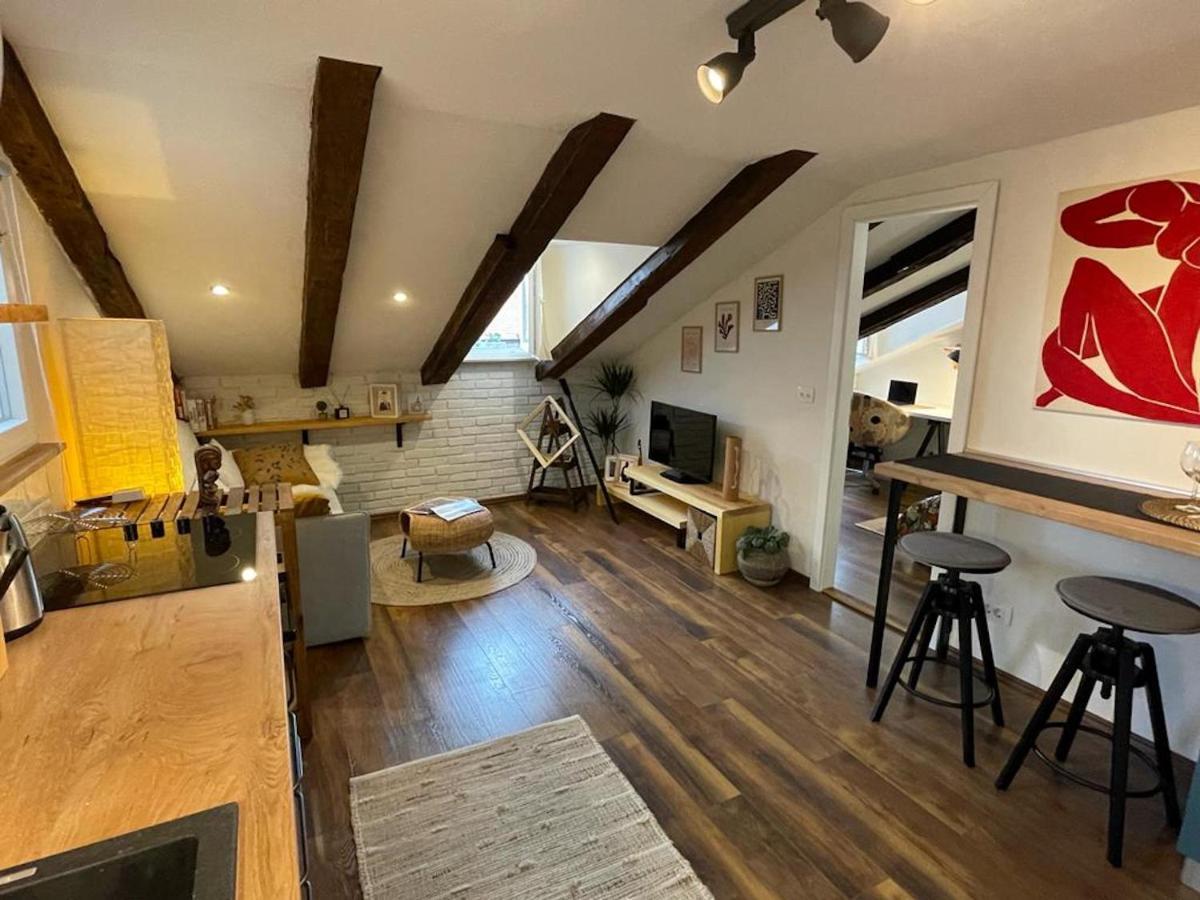Condo In Town Centre Rijeka Extérieur photo